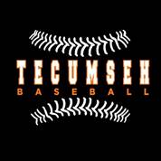 Tecumseh Baseball (@THS_Baseball_MI) | Twitter