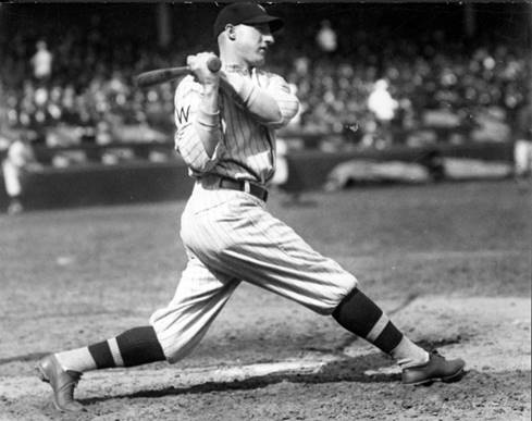 Image result for goose goslin